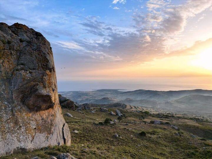 קורס טיפוס הובלה
